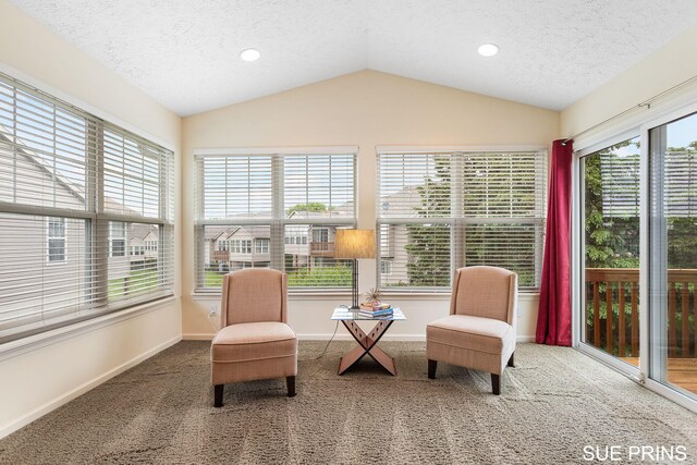 3107 Rain Tree Ct Unit 36, Hudsonville, MI 49426 - sunroom / solarium featuring carpet, vaulted ceiling, a textured ceiling, recessed lighting, and baseboards