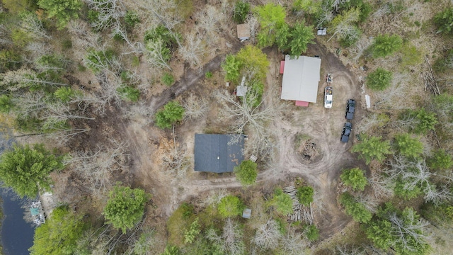 250 Warfield Rd, Wellston, MI 49689