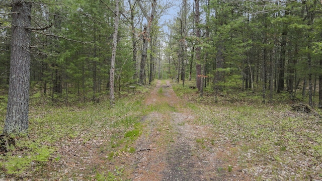 250 Warfield Rd, Wellston, MI 49689