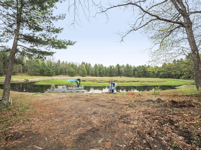 250 Warfield Rd, Wellston, MI 49689