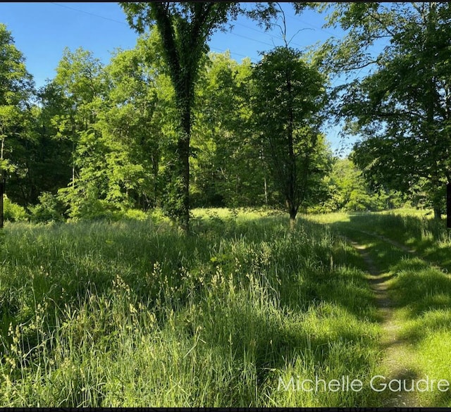 Benzel Ct Unit Parcel 1, Hastings, MI 49058