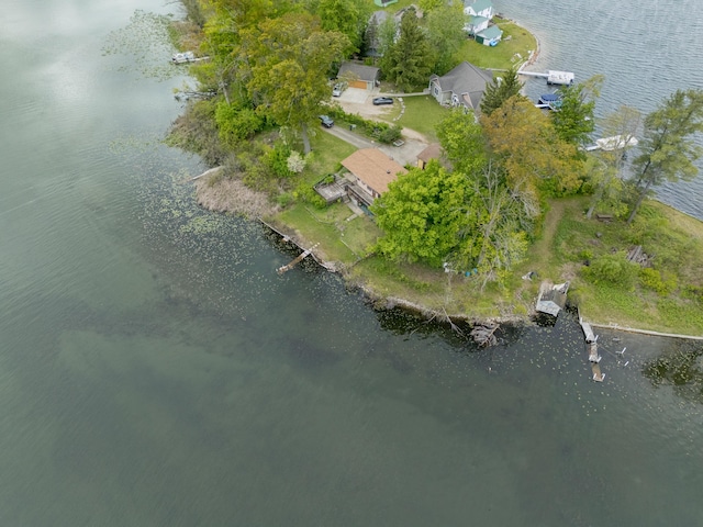 12391 Sunset Dr, Plainwell, MI 49080 - aerial view of property and surrounding area featuring a nearby body of water