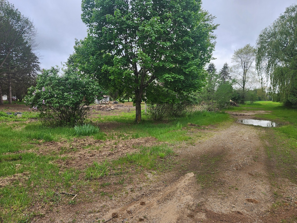 6239 N Caris Rd, Vestaburg, MI 48891