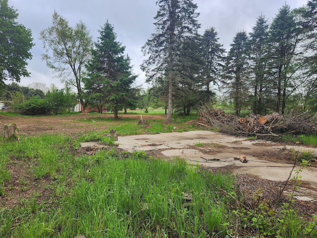 6239 N Caris Rd, Vestaburg, MI 48891