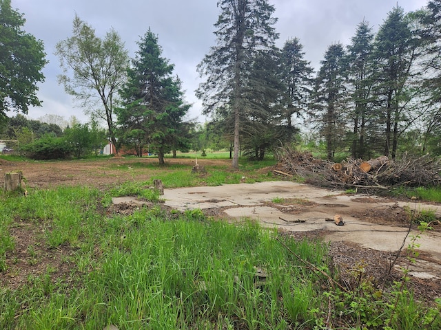 6239 N Caris Rd, Vestaburg, MI 48891
