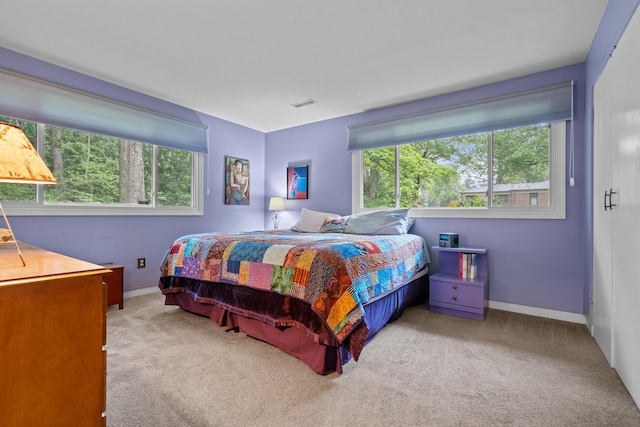 1119 Wesaw Rd, Niles, MI 49120 - bedroom featuring multiple windows, carpet, and baseboards