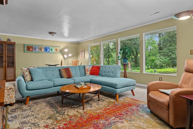 1119 Wesaw Rd, Niles, MI 49120 - living area with ornamental molding and baseboards