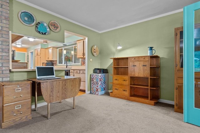 1119 Wesaw Rd, Niles, MI 49120 - office featuring light colored carpet, ornamental molding, baseboards, and a sink