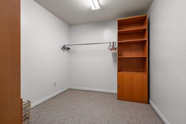 1119 Wesaw Rd, Niles, MI 49120 - walk in closet with carpet floors