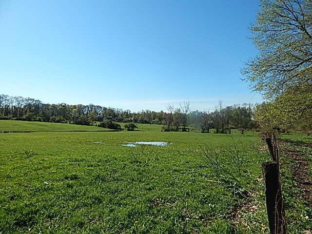 565 W Leonard Rd, Leonard, MI 48367