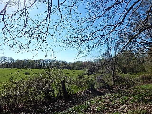 565 W Leonard Rd, Leonard, MI 48367