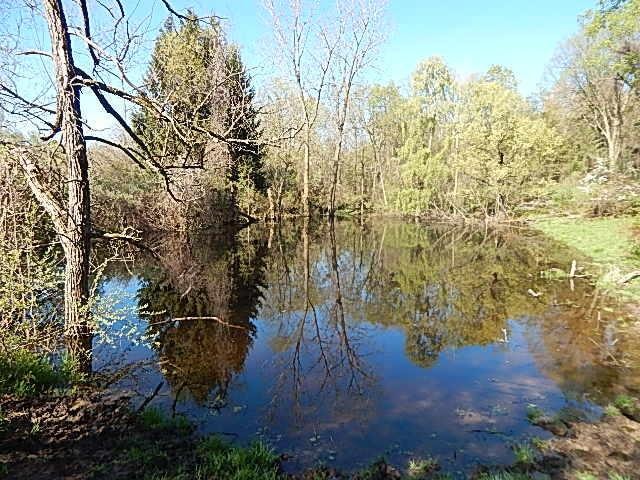 565 W Leonard Rd, Leonard, MI 48367
