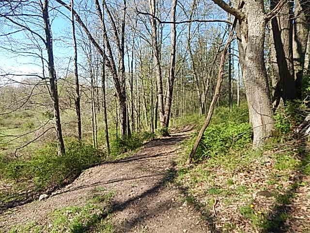 565 W Leonard Rd, Leonard, MI 48367
