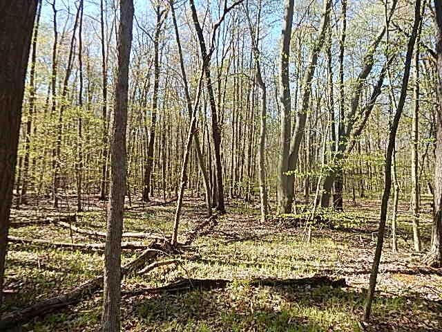 565 W Leonard Rd, Leonard, MI 48367