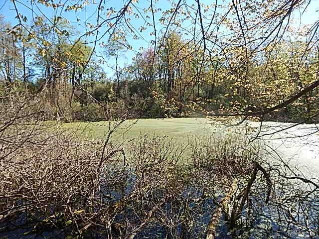 565 W Leonard Rd, Leonard, MI 48367