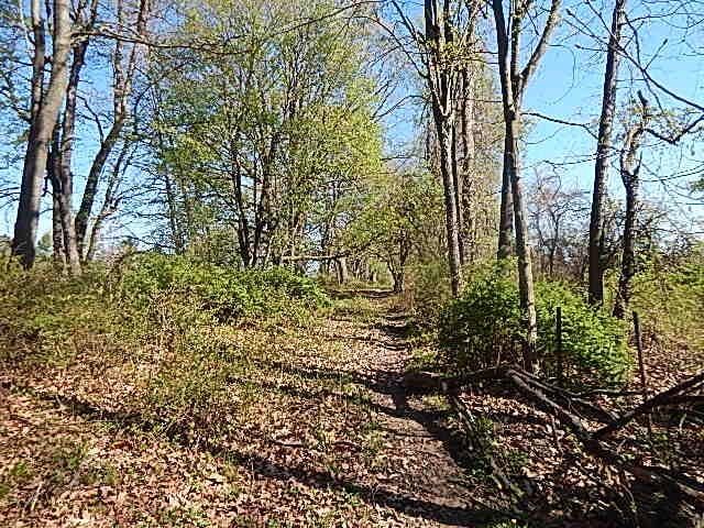 565 W Leonard Rd, Leonard, MI 48367