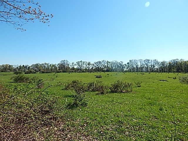 565 W Leonard Rd, Leonard, MI 48367