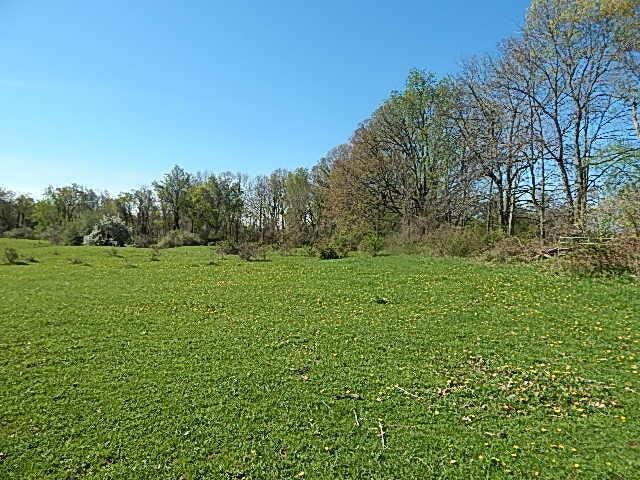 565 W Leonard Rd, Leonard, MI 48367