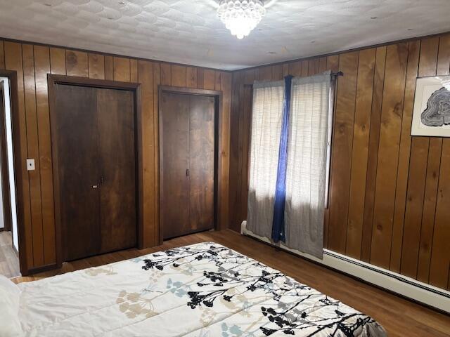 18593 30th Ave, Barryton, MI 49305 - bedroom featuring wooden walls, wood finished floors, and multiple closets