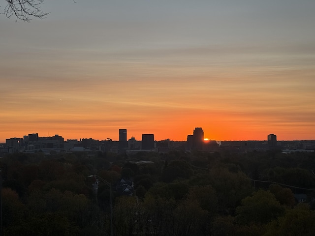 226 Sunset Ave NW, Grand Rapids, MI 49504 - city view
