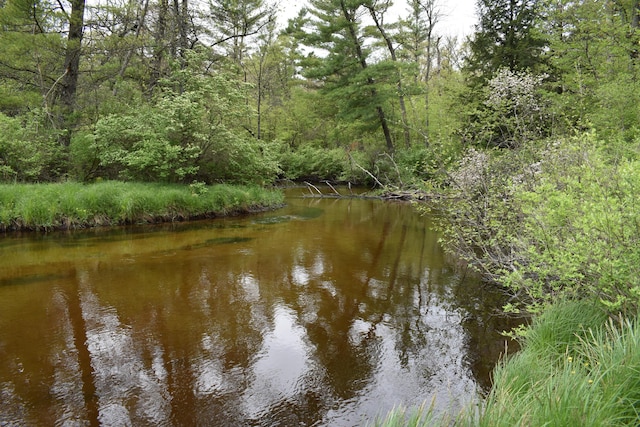 00 S Ever Blooming Dr, Baldwin, MI 49304
