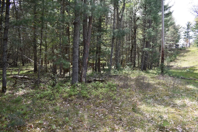 00 S Ever Blooming Dr, Baldwin, MI 49304
