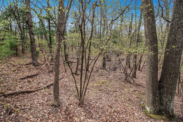 N Silver Ridge Rd, Mears, MI 49436
