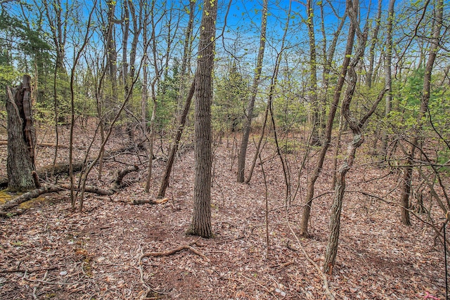N Silver Ridge Rd, Mears, MI 49436