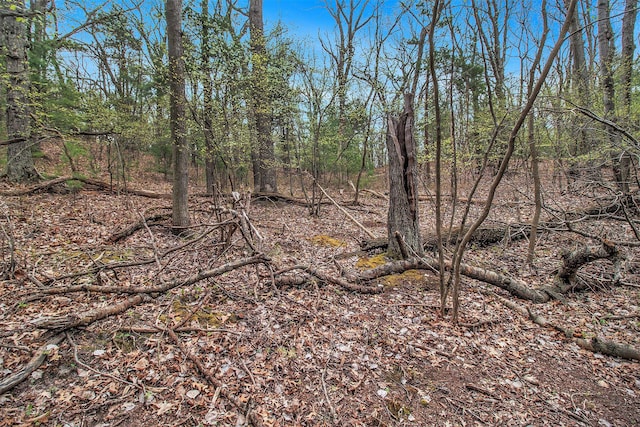 N Silver Ridge Rd, Mears, MI 49436