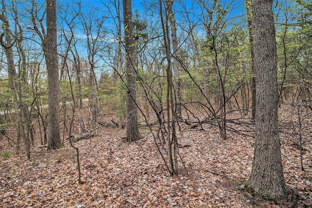 N Silver Ridge Rd, Mears, MI 49436