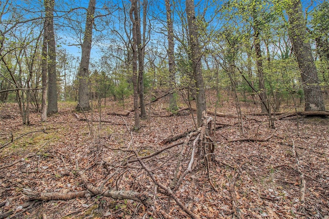 N Silver Ridge Rd, Mears, MI 49436