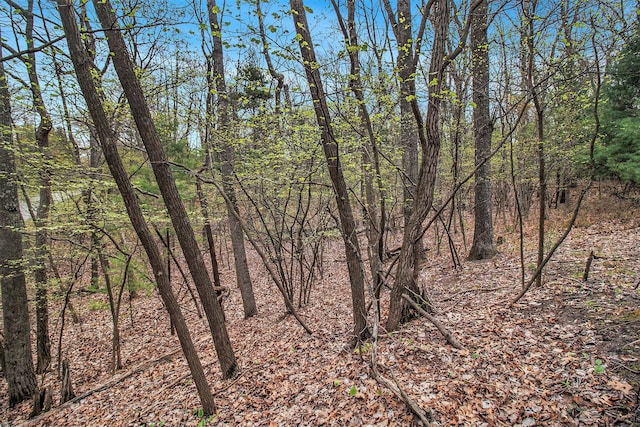 N Silver Ridge Rd, Mears, MI 49436