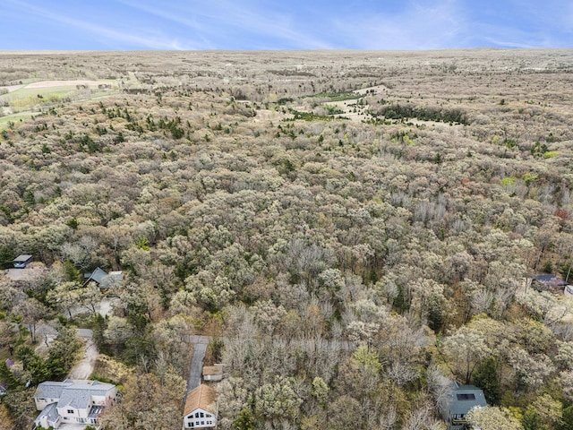 N Silver Ridge Rd, Mears, MI 49436