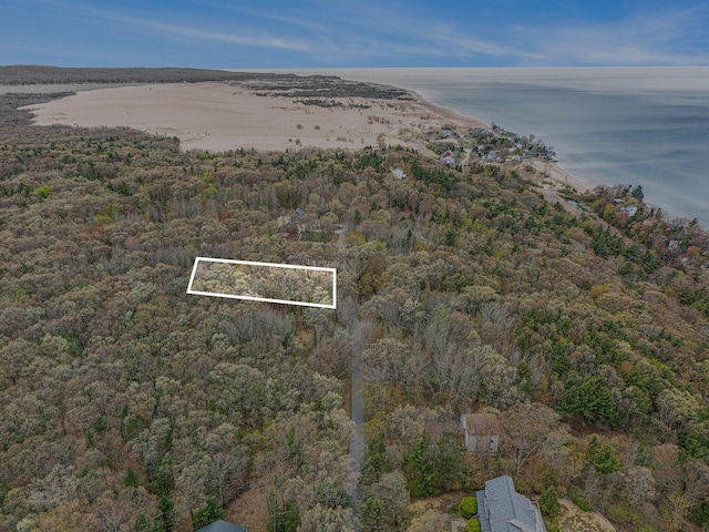N Silver Ridge Rd, Mears, MI 49436