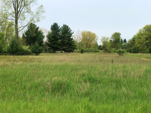 11493 Pierce Rd Unit 972, Stanwood, MI 49346