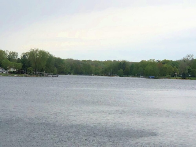 11493 Pierce Rd Unit 972, Stanwood, MI 49346