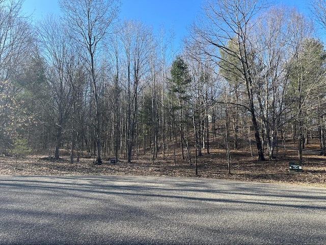 LOT104 Orchard Hls, Rapid City, MI 49676