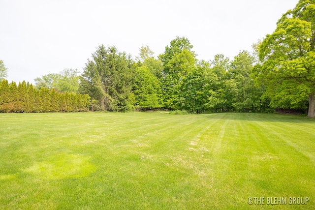 1705 Fritz St, Marne, MI 49435 - view of grassy yard