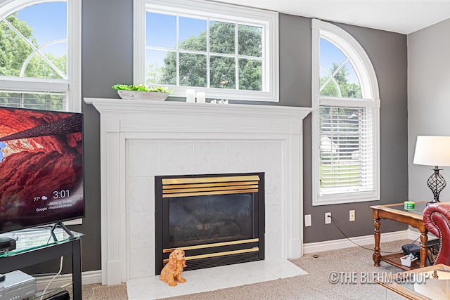 1705 Fritz St, Marne, MI 49435 - detailed view of carpet flooring and a fireplace
