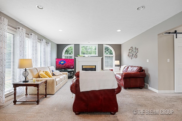 1705 Fritz St, Marne, MI 49435 - living area featuring carpet flooring, a barn door, a glass covered fireplace, and recessed lighting