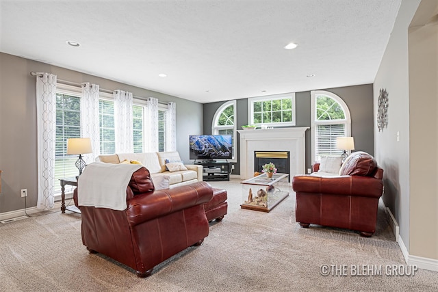 1705 Fritz St, Marne, MI 49435 - living area featuring carpet, a glass covered fireplace, plenty of natural light, and recessed lighting
