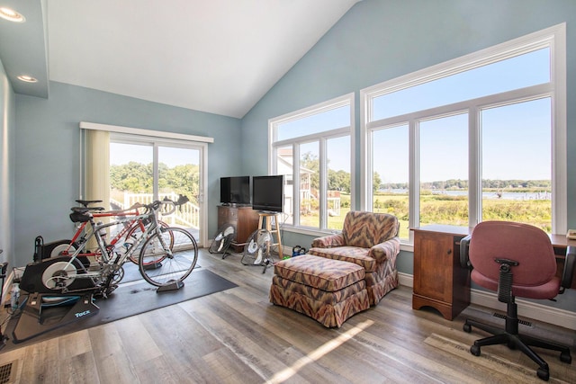 14776 Park Ct, Grand Haven, MI 49417 - home office with healthy amount of natural light, wood finished floors, recessed lighting, and high vaulted ceiling
