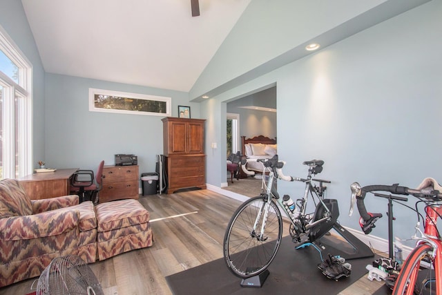 14776 Park Ct, Grand Haven, MI 49417 - workout area with wood finished floors, baseboards, high vaulted ceiling, and a ceiling fan