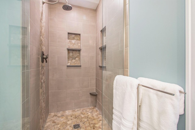 14776 Park Ct, Grand Haven, MI 49417 - full bath featuring a stall shower