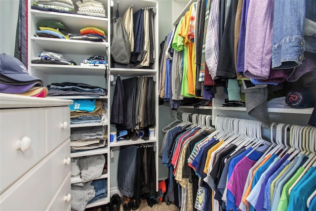 14776 Park Ct, Grand Haven, MI 49417 - view of walk in closet