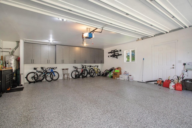 14776 Park Ct, Grand Haven, MI 49417 - garage with a garage door opener