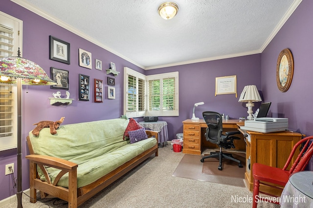4124 Cummings Ct NW, Grand Rapids, MI 49534 - home office with crown molding, carpet flooring, and a textured ceiling
