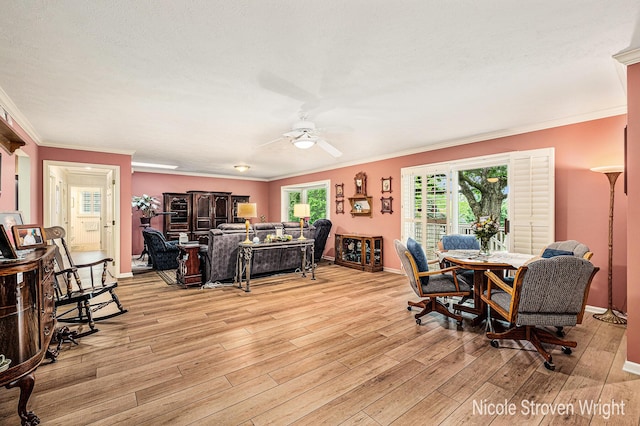 4124 Cummings Ct NW, Grand Rapids, MI 49534 - living room with crown molding, a ceiling fan, light wood-style flooring, and baseboards