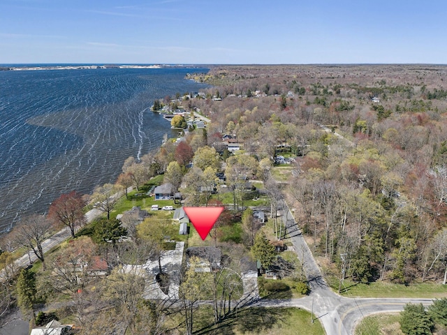 7034 W Dewey Rd, Ludington, MI 49431 - aerial overview of property's location with a nearby body of water and a heavily wooded area