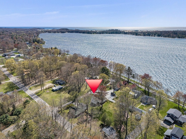 7034 W Dewey Rd, Ludington, MI 49431 - aerial view of property's location with a large body of water